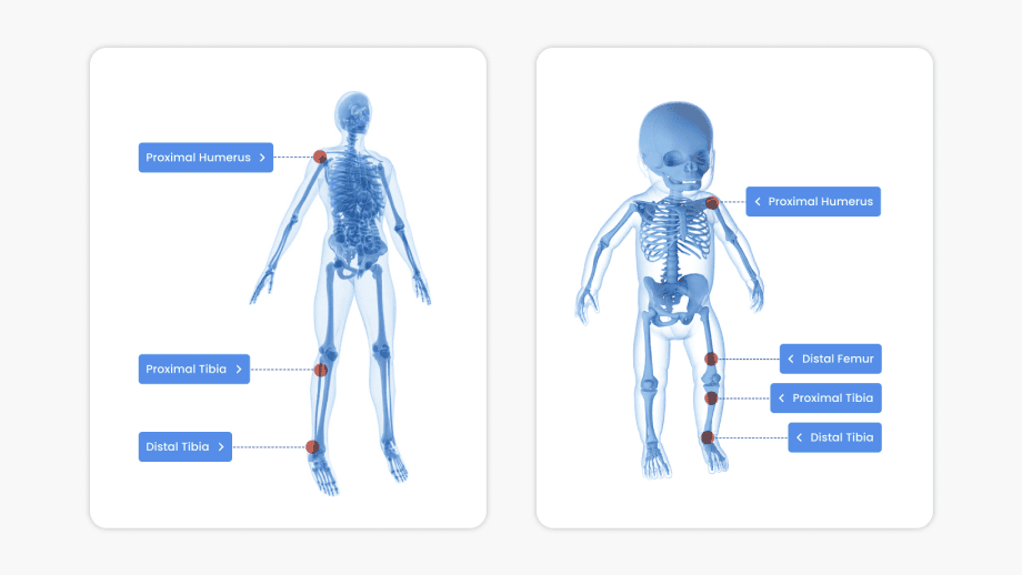 Rapid Procedural Guidance